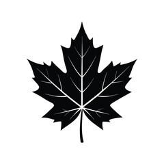 maple leaf of a silhouette art