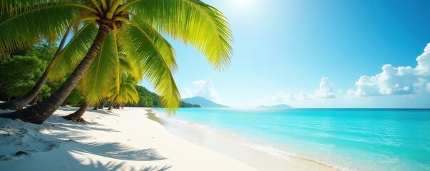 Sun-drenched palm trees fringe white sand beach, turquoise water sparkles , breathtaking, turquoise water, incredible