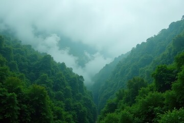 Thick fog blankets a lush, emerald forest; visibility is near zero , mist, leaves, calm