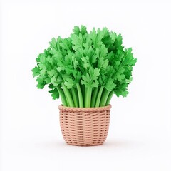 Naklejka premium Fresh Green Celery Stalks in Wicker Basket on White