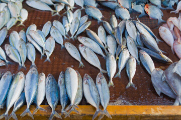Fresh fish in traditional markets