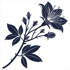 silhouette flower white background