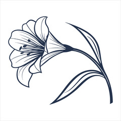 silhouette flower white background