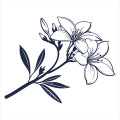 silhouette flower white background