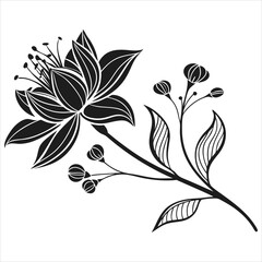 silhouette flower white background