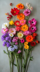 Obraz premium Vibrant Display of Colorful Flowers in a Garden Setting During Springtime