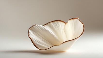 Petal Color Creamy white with brown edges.