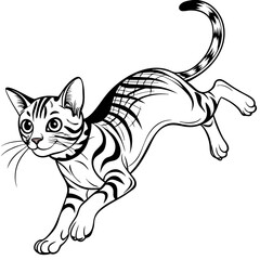 Fototapeta premium Black and white cat, cartoon feline, striped kitten, playful animal isolated on Transparent Background