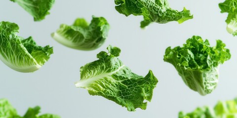 Floating soft green lettuce leaves on a soft light gray background