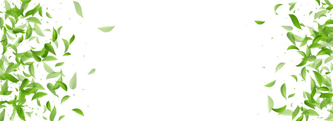 Green Foliage Flying Vector Panoramic White