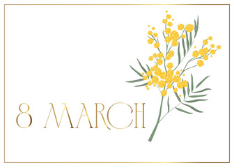 Eighth of March greeting card. Mimosa branch. Vector