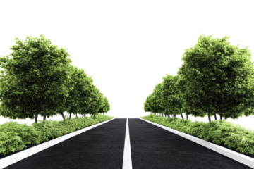 A long, straight black asphalt road with bright white dividing lines, surrounded by lush greenery and a faint horizon, highlighting the contrast between the road and nature.