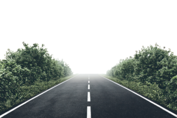 A long, straight black asphalt road with bright white dividing lines, surrounded by lush greenery and a faint horizon, highlighting the contrast between the road and nature.
