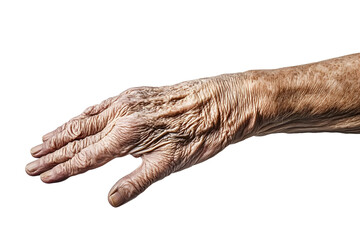 Fototapeta premium High-quality stock photograph, capturing an aged hand, solitary on a white backdrop, full body view, isolated, centered, showing every wrinkle and line of life lived