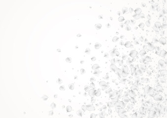 Snowy Peach Vector Light Background. Pastel Blur