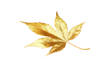 A single shiny yellow leaf with a subtle gold foil texture, showcasing the intricate design of the veins and metallic sheen for a sophisticated look.