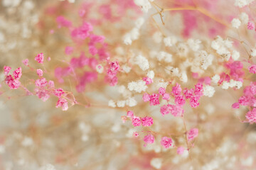 Close-up of pink and white gypsophila flowers and dried flowers, creating a delicate and natural floral composition, perfect for spring decor and seasonal arrangements.