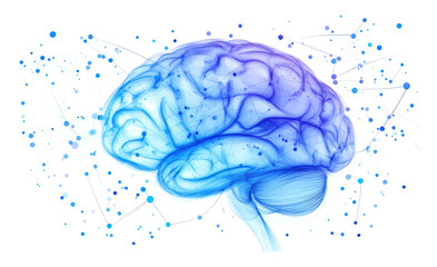 PNG Brain with neural connections blue visualization invertebrate.