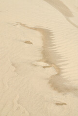 Site protégé, Dune du Pilat, 33, Gironde, France