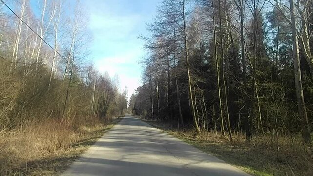 Leśna asfaltowa droga w słoneczny zimowy dzień (początek marca). Piękny, ciepły, czysty i słoneczny wiosenny dzień (choć technicznie wciąż jest zima) w lesie niedaleko miasta (Ostrowiec Świętokrzyski)
