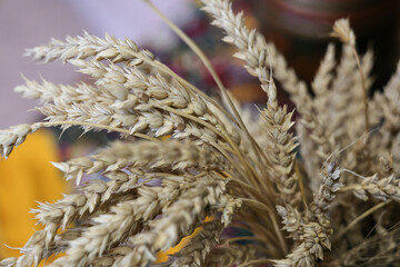 a lot of ears of wheat and barley