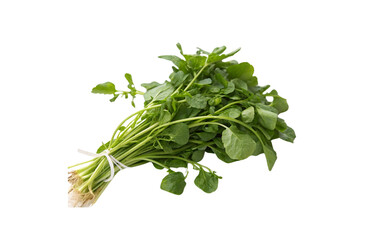 Watercress Vegetable PNG Download &ndash; Crisp & Clear Transparent Images