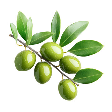 recommend clip art: Green olives with leaves on a branch isolated on transparent background