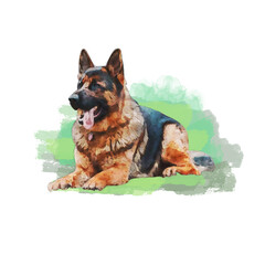 A beautifully detailed watercolor painting of a German Shepherd dog