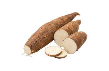 Cassava Vegetable PNG Download – Crisp & Clear Transparent Images