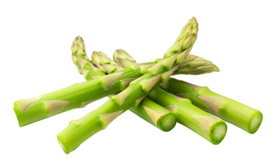 Green asparagus isolated on transparent background.