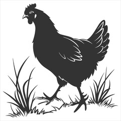 silhouette hen on white background