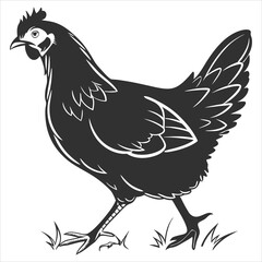 silhouette hen on white background