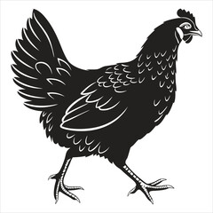 silhouette hen on white background
