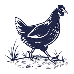 silhouette hen on white background