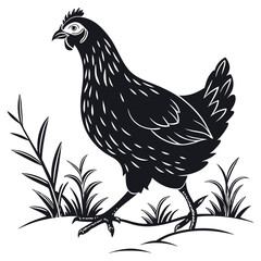 silhouette hen on white background
