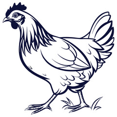 silhouette hen on white background