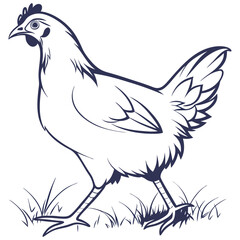 silhouette hen on white background