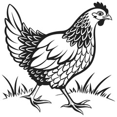 silhouette hen on white background