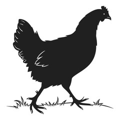 silhouette hen on white background