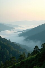 Fototapeta premium Foggy landscape with mist rising from the ground, landscape, fog