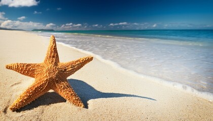 star fish laying on the sandy beach