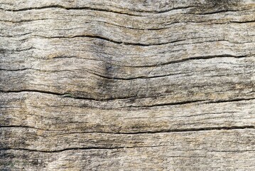 This image showcases a light brown wooden texture with clear grain patterns, ideal for adding a...