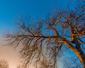 Zilker Park, Austin, Texas, USA