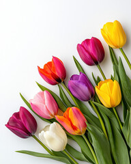 Naklejka premium Flat Lay of Bright Tulips on Clean White Background, Spring Floral Photography