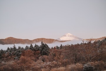 mountain fuji in the morning