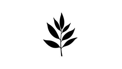 Fototapeta premium Elegant foliage silhouette on a minimalistic white background 