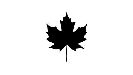 Black silhouette of a maple leaf on a white background  