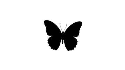 Fototapeta premium Vintage sketch of a butterfly silhouette on a white background 