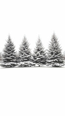 Fototapeta premium Snowy Evergreens Winter Landscape Photo