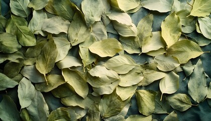 Dried Leaves Scattered On A Dark Surface